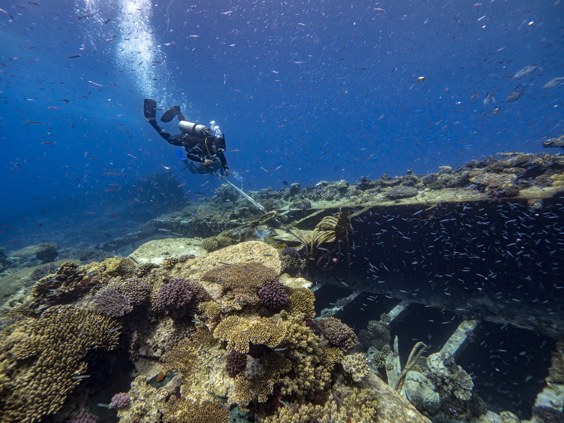 Wreck diving in the Red Sea