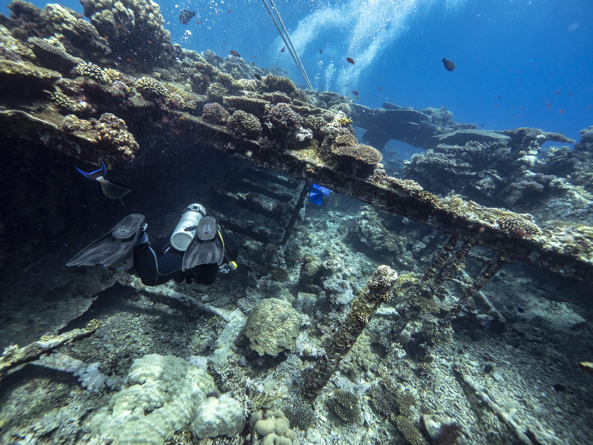 Wreck diving in the Red Sea